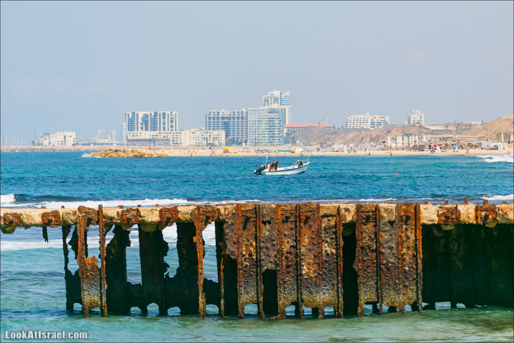 LookAtIsrael.com - Фото заметки из жизни Тель Авива