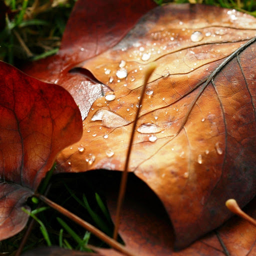 Hd-175853-ascw175853