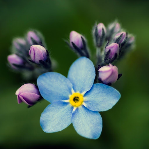 Hd-177189-ascw177189