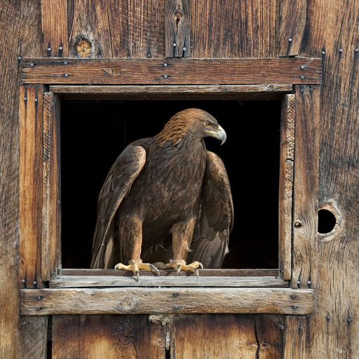 Hd-162180-ascw162180