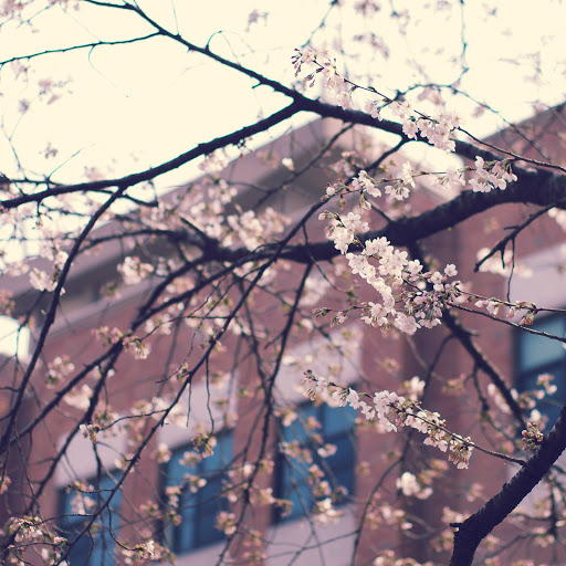 Hd-163172-ascw163172