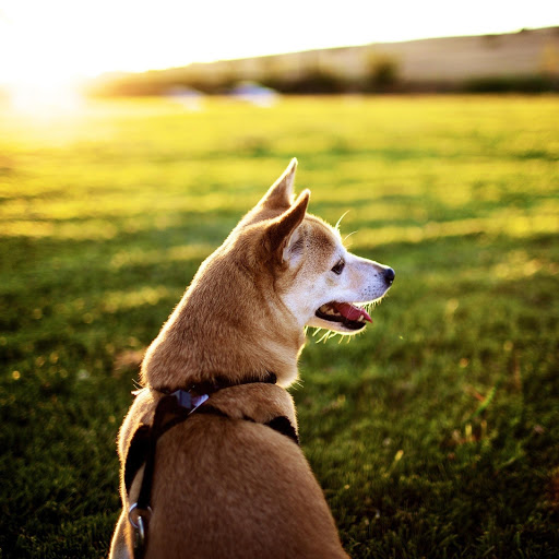 Hd-174980-ascw174980