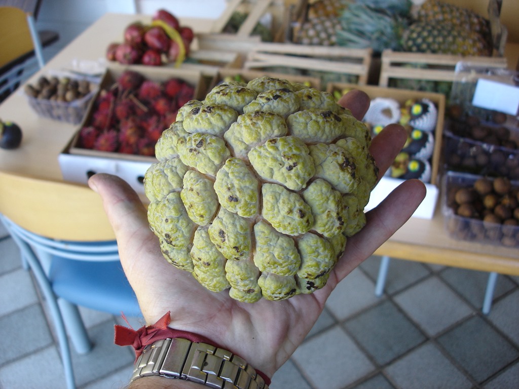 [Atemoia%255B4%255D.jpg]