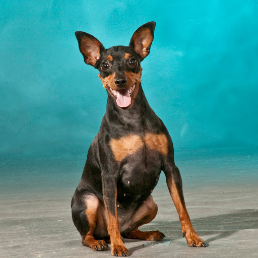 Hd-173994-ascw173994