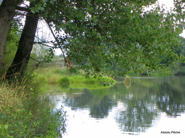 La Loire à Balbigny photo #397