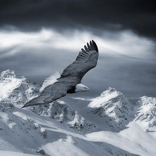 Hd-159880-ascw159880