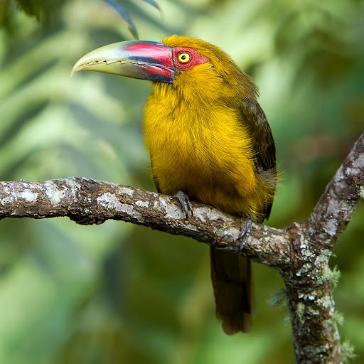 Hd-177888-ascw177888