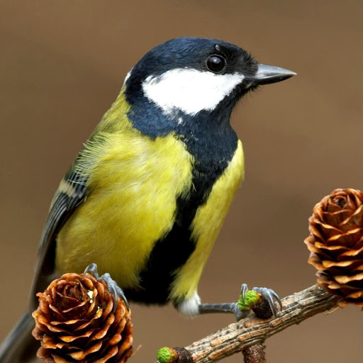 Hd-178208-ascw178208