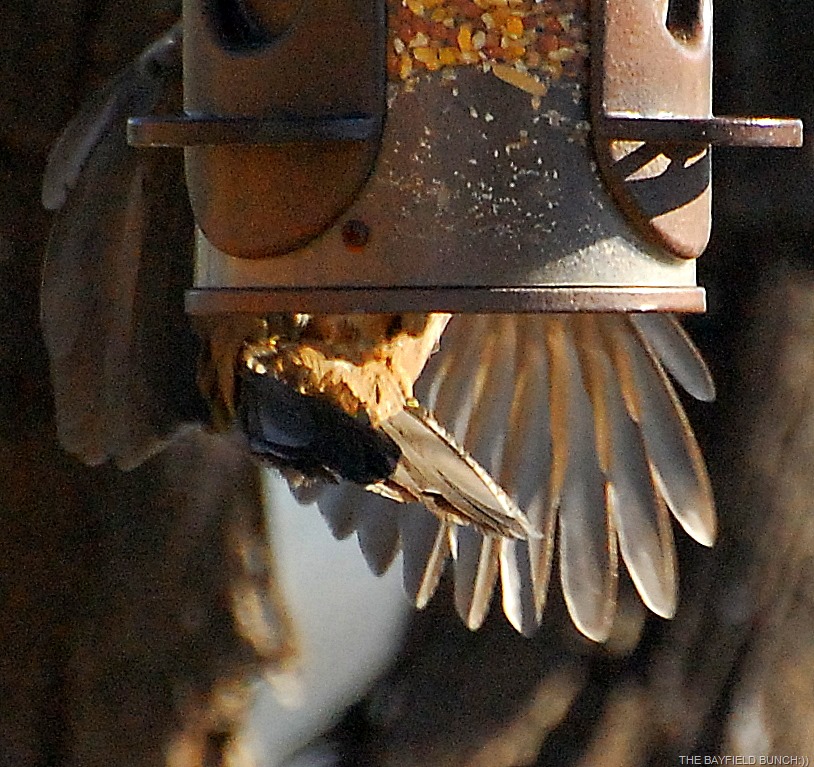 [DSC_8651%255B6%255D.jpg]