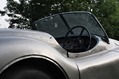 Jaguar-Coys-11