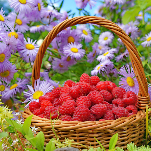 Hd-177947-ascw177947