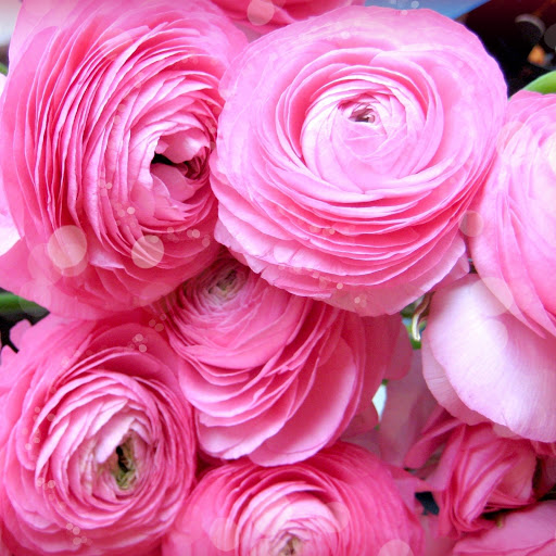 Hd-177220-ascw177220