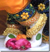 Flowers offered at Krishna's lotus feet