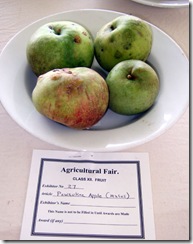 fair Pewaukee apple