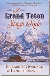 a grand teton sleigh ride
