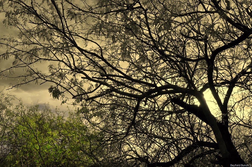 [DSC_0003%255B11%255D.jpg]