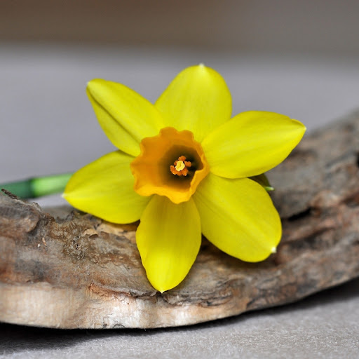 Hd-186277-ascw186277