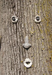 Wellfleet 8.18.2012 face on tree at gift shop