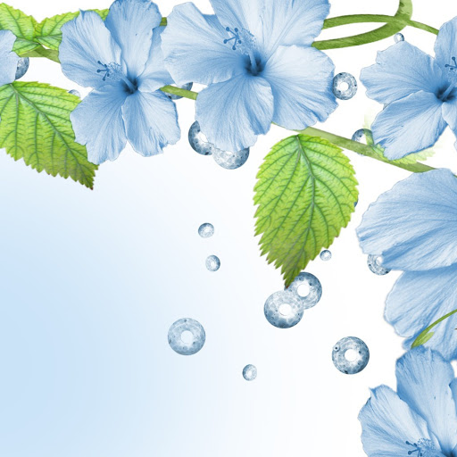 Hd-146783-ascw146783