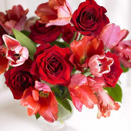 Hd-171489-ascw171489