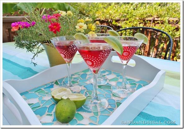 Frosted Martini Glasses 