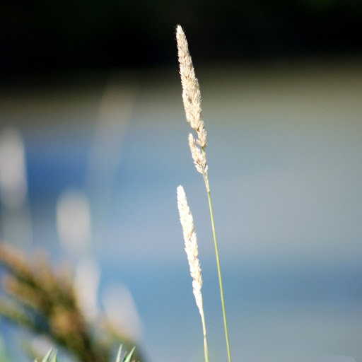 Hd-164236-ascw164236