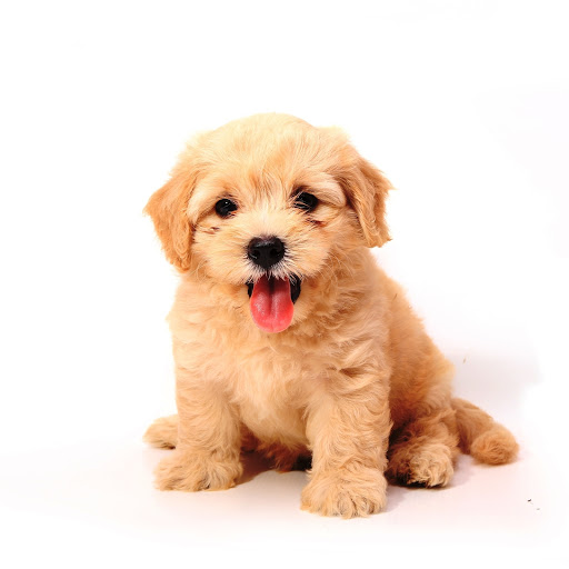 Hd-152058-ascw152058