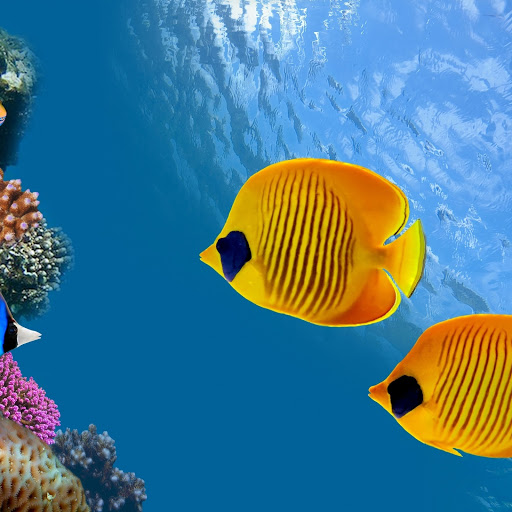 Hd-167610-ascw167610