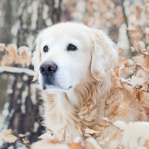 Hd-190583-ascw190583