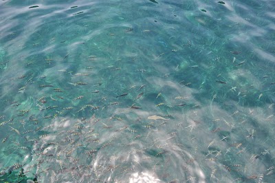 DSC_0288.JPG