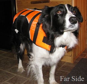 Chance in his life jacket