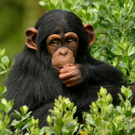 Hd-180414-ascw180414