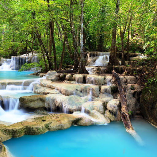 Hd-141715-ascw141715