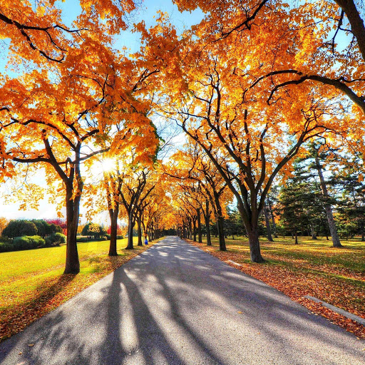 Hd-147548-ascw147548