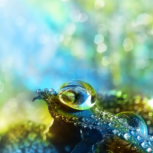 Hd-131820-ascw131820