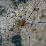 373115-pentax-k-s1-sample-image.jpg