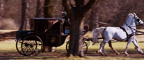 tumblr_mk4ng1ulVe1s9pe04o1_500.gif
