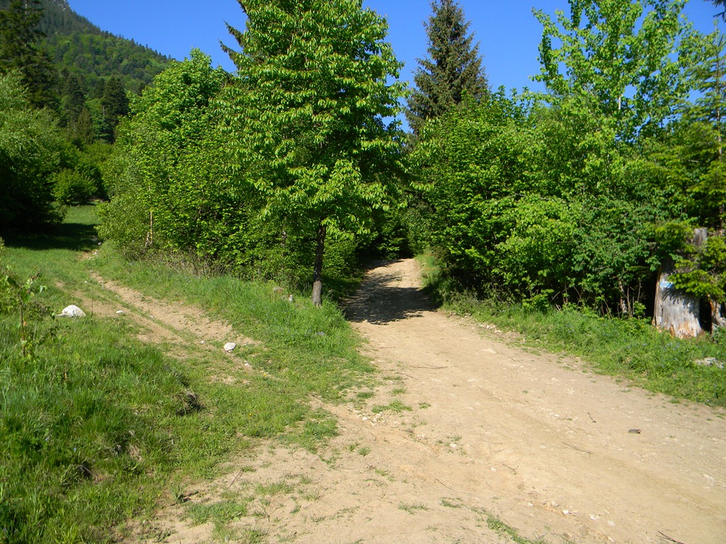 [DSCN55913.jpg]