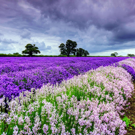 Hd-182645-ascw182645