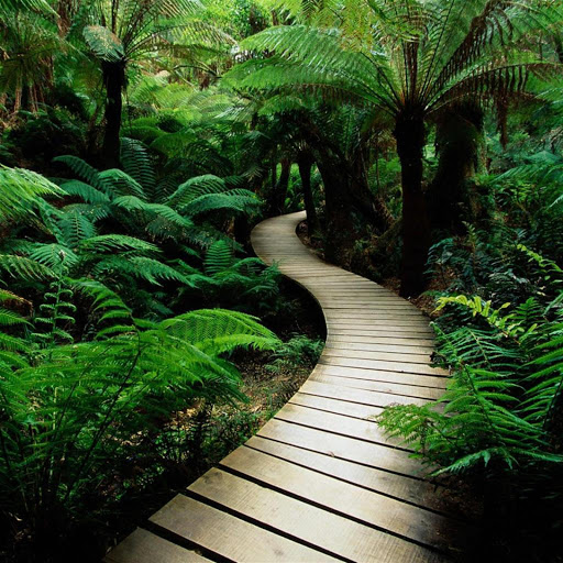 Hd-134837-ascw134837