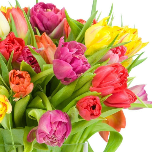 Hd-143584-ascw143584