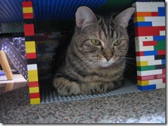 Lego-kitty-box-2385