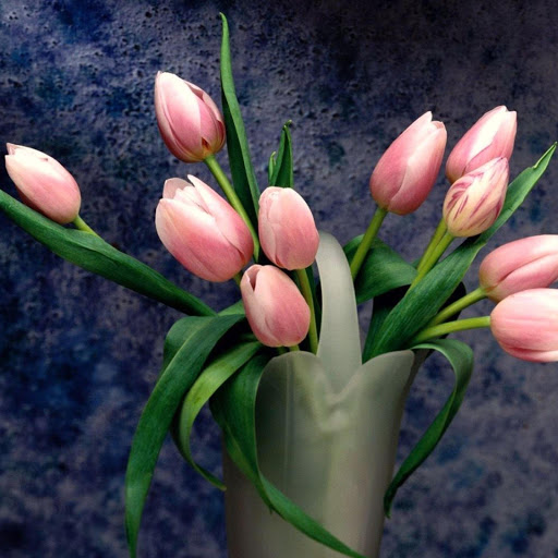 Hd-171452-ascw171452