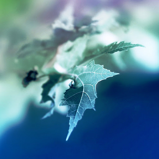 Hd-161776-ascw161776