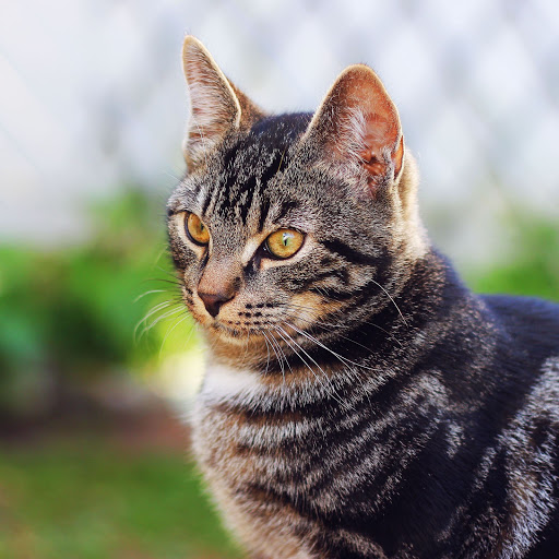 Hd-185348-ascw185348