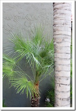 120727_Tucson_RiverParkInn_018 120727_Tucson_RiverParkInn_018