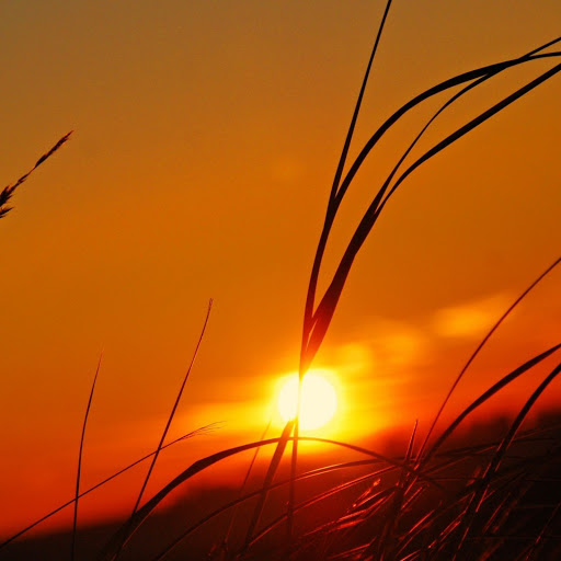 Hd-142348-ascw142348