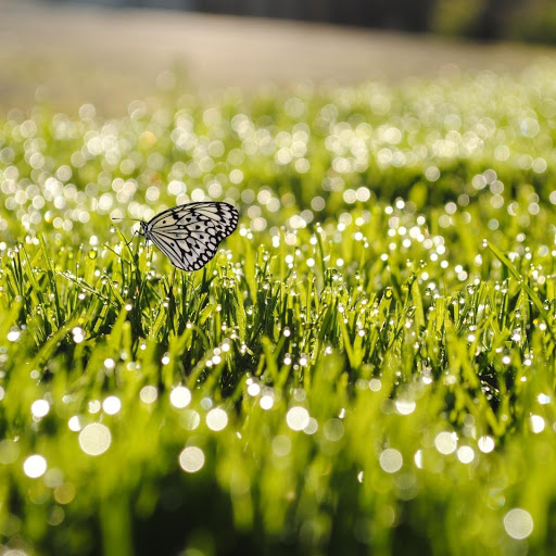 Hd-152772-ascw152772