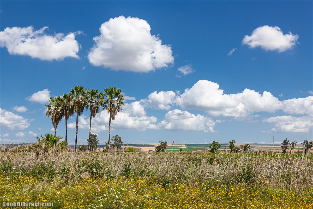 Песах в Долине Родников | Passover in Springs Valley| פסח בעמק המעיינות | LookAtIsrael.com - Фото путешествия по Израилю