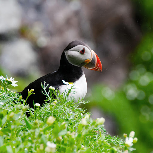 Hd-181309-ascw181309